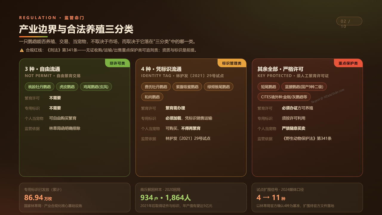 中国鹦鹉养殖产业发展研究报告分析-2026年9月 - 产业边界与合法养殖三分类