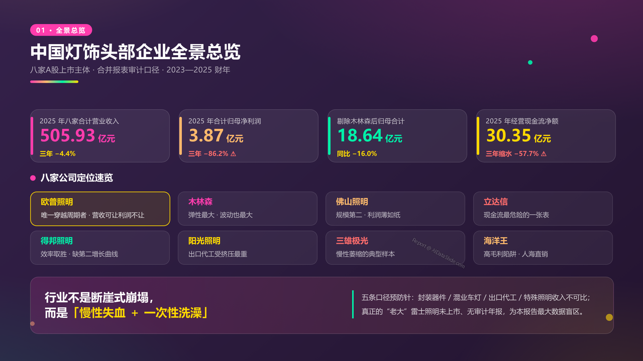 中国灯饰生产头部企业近三年财务报告数据分析报告 - 中国灯饰头部企业全景总览