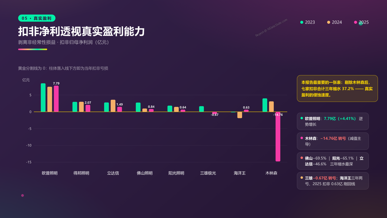 中国灯饰生产头部企业近三年财务报告数据分析报告 - 扣非净利透视真实盈利能力
