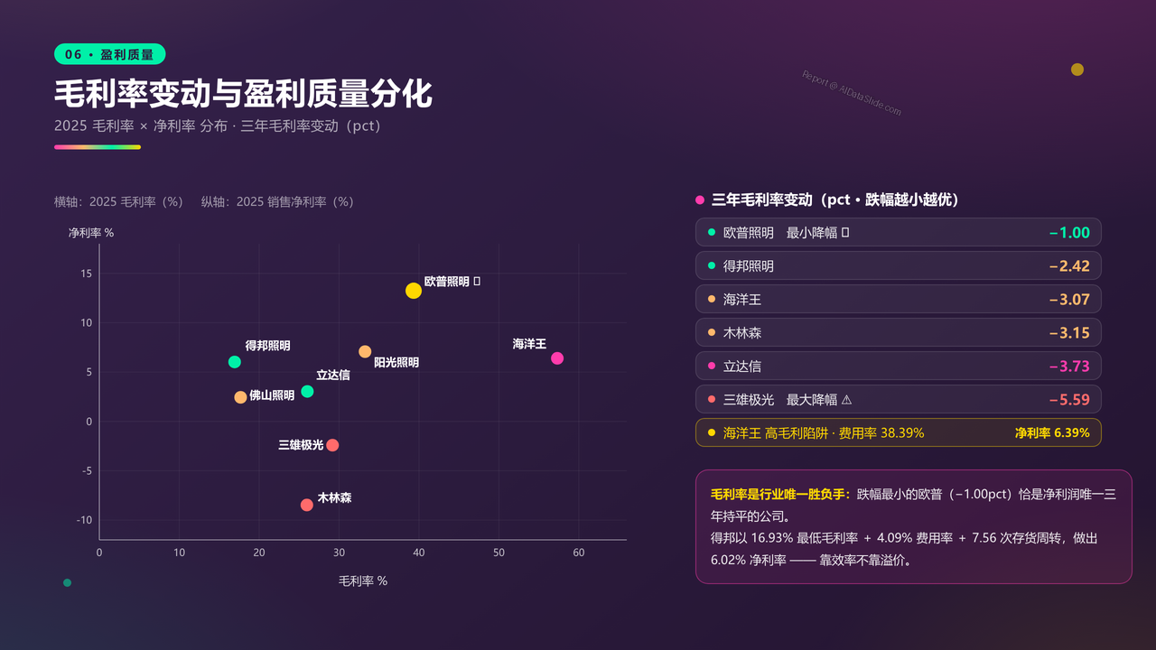 中国灯饰生产头部企业近三年财务报告数据分析报告 - 毛利率变动与盈利质量分化