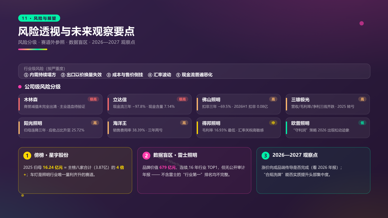 中国灯饰生产头部企业近三年财务报告数据分析报告 - 风险透视与未来观察要点