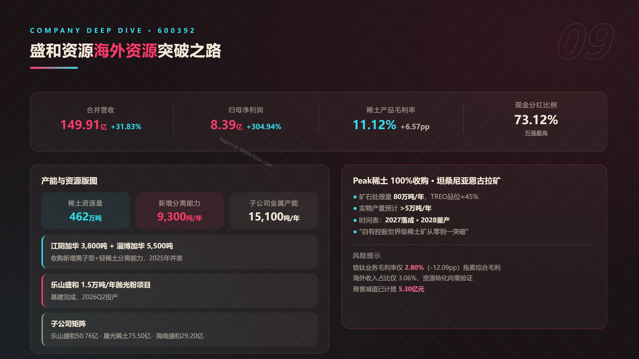 中国稀土产业五强2025财年出货量与出货价值对比分析报告 - 盛和资源海外资源突破之路