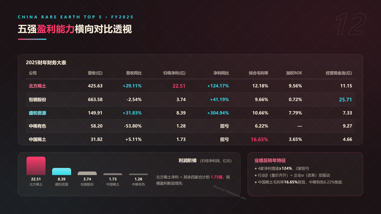 中国稀土产业五强2025财年出货量与出货价值对比分析报告 - 五强盈利能力横向对比透视
