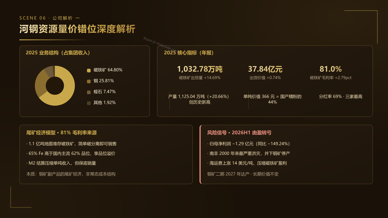 中国铁矿产业2025财年出货量与出货价值对比分析报告 - 河钢资源量价错位深度解析