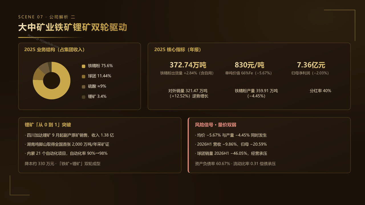 中国铁矿产业2025财年出货量与出货价值对比分析报告 - 大中矿业铁矿锂矿双轮驱动