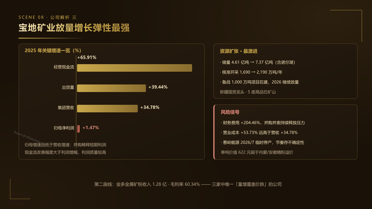 中国铁矿产业2025财年出货量与出货价值对比分析报告 - 宝地矿业放量增长弹性最强