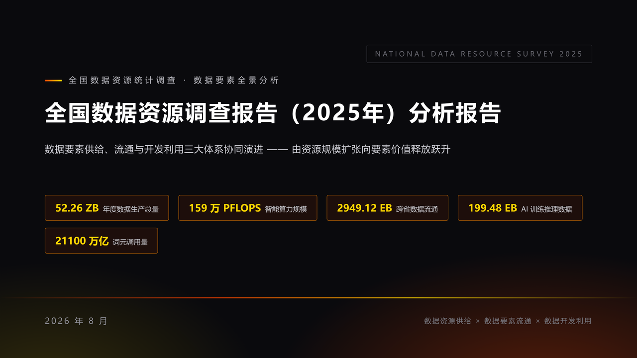 全国数据资源调查报告（2025年）分析报告