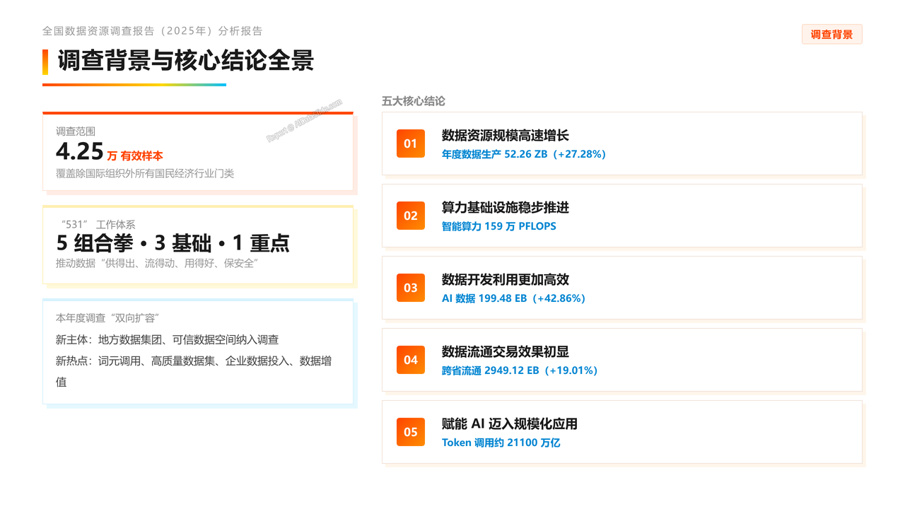 全国数据资源调查报告(2025年)分析报告 - slide_01