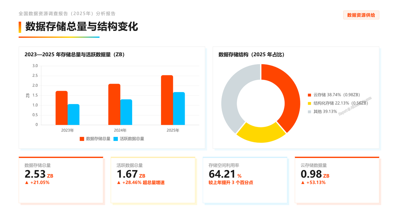 全国数据资源调查报告(2025年)分析报告 - slide_05