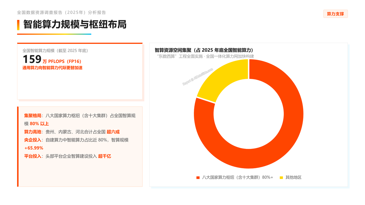 全国数据资源调查报告(2025年)分析报告 - slide_06