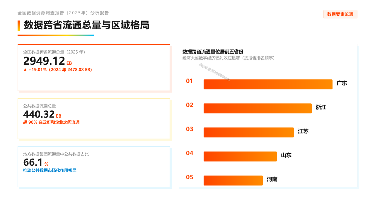 全国数据资源调查报告(2025年)分析报告 - slide_08