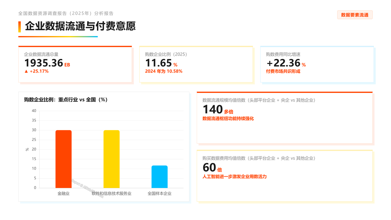 全国数据资源调查报告(2025年)分析报告 - slide_09