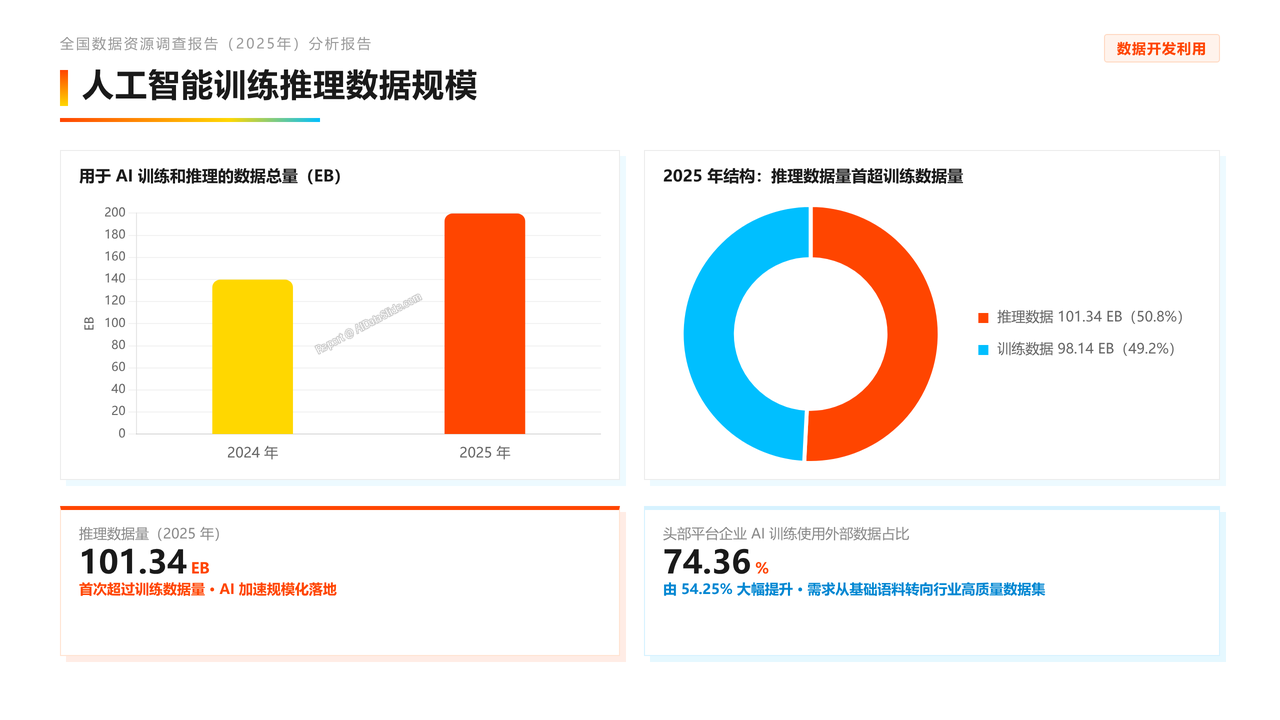 全国数据资源调查报告(2025年)分析报告 - slide_10
