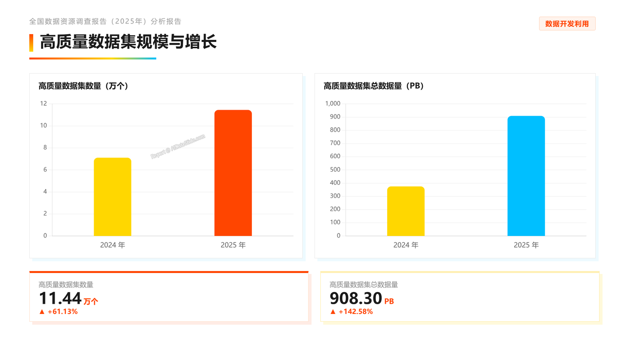 全国数据资源调查报告(2025年)分析报告 - slide_11