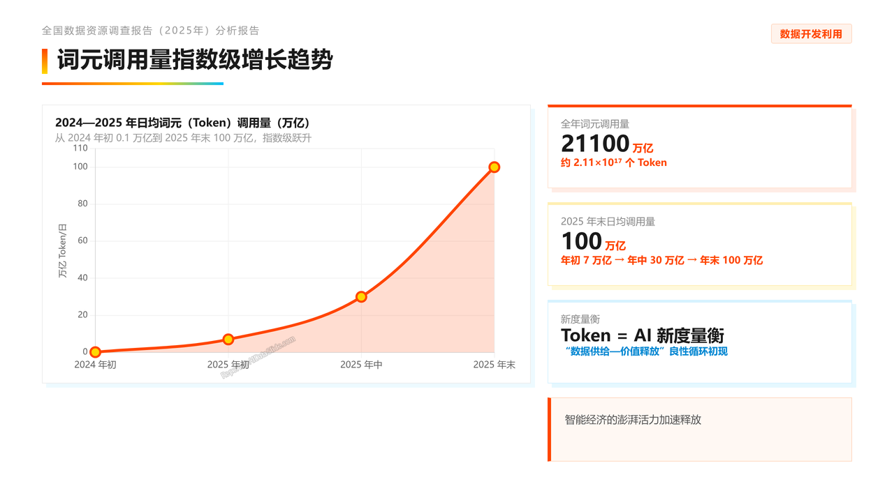 全国数据资源调查报告(2025年)分析报告 - slide_12