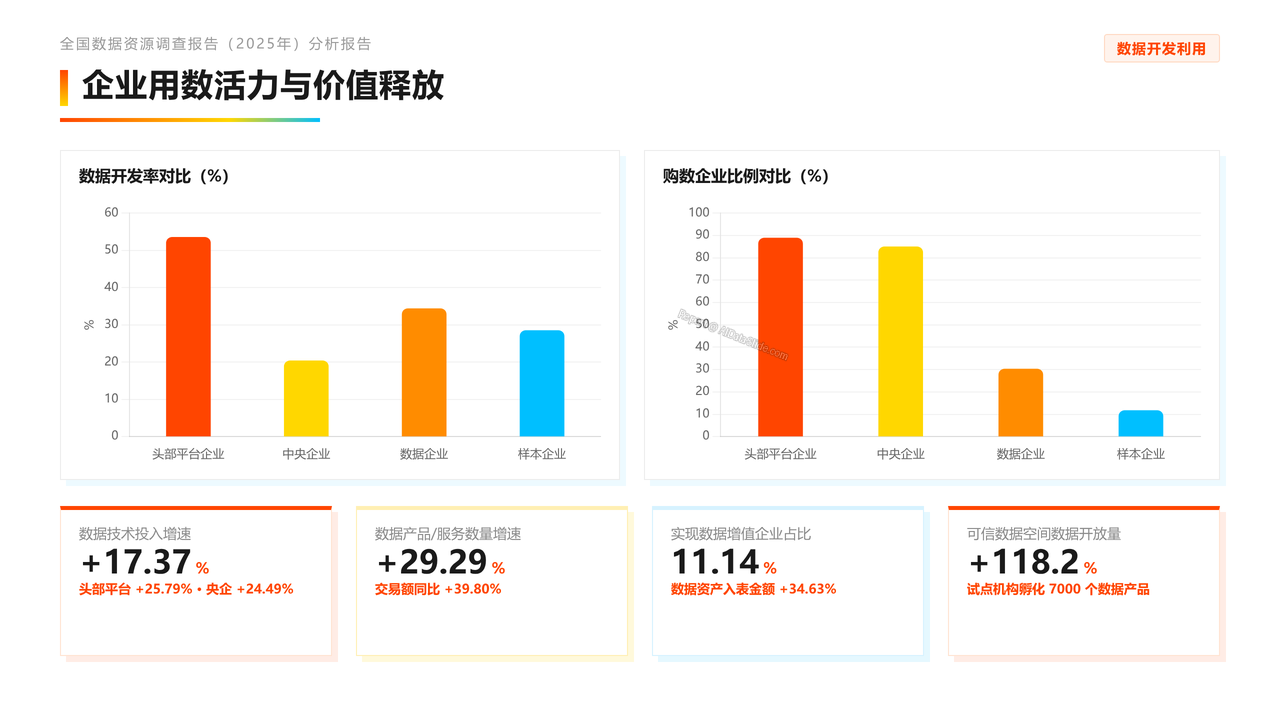 全国数据资源调查报告(2025年)分析报告 - slide_14