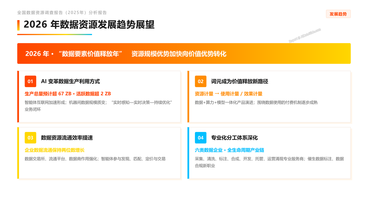 全国数据资源调查报告(2025年)分析报告 - slide_16