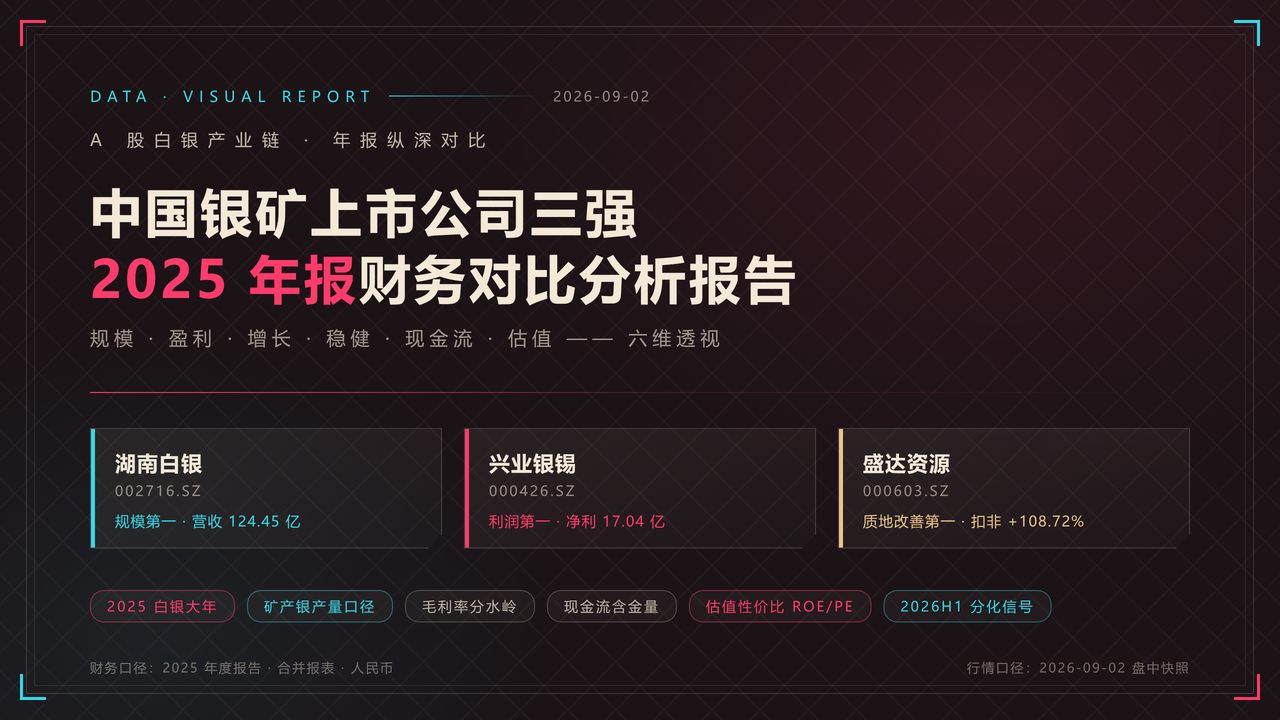 中国银矿上市公司三强2025年报财务对比分析报告 缩略图