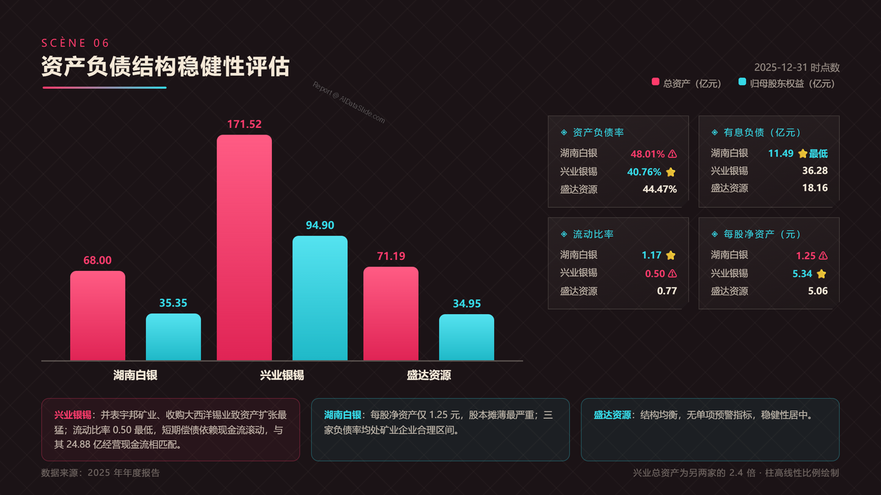 中国银矿上市公司三强2025年报财务对比分析报告 - 资产负债结构稳健性评估