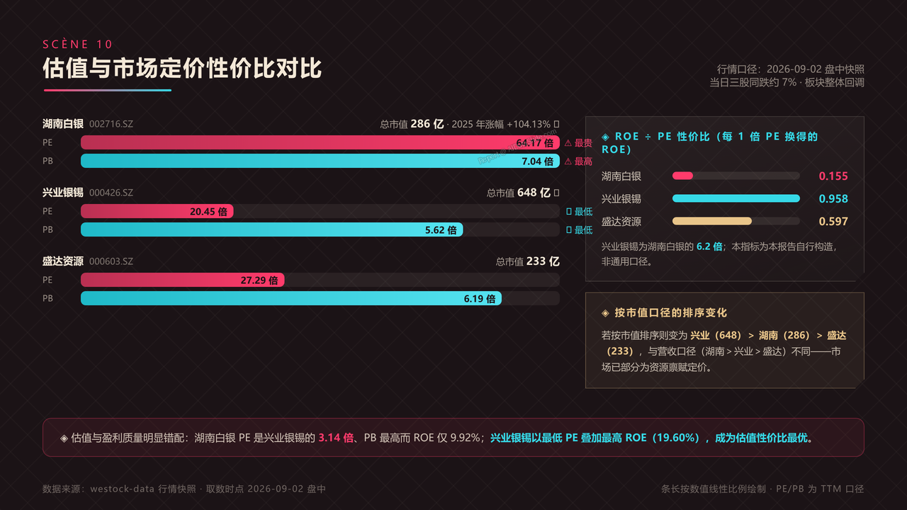 中国银矿上市公司三强2025年报财务对比分析报告 - 估值与市场定价性价比对比