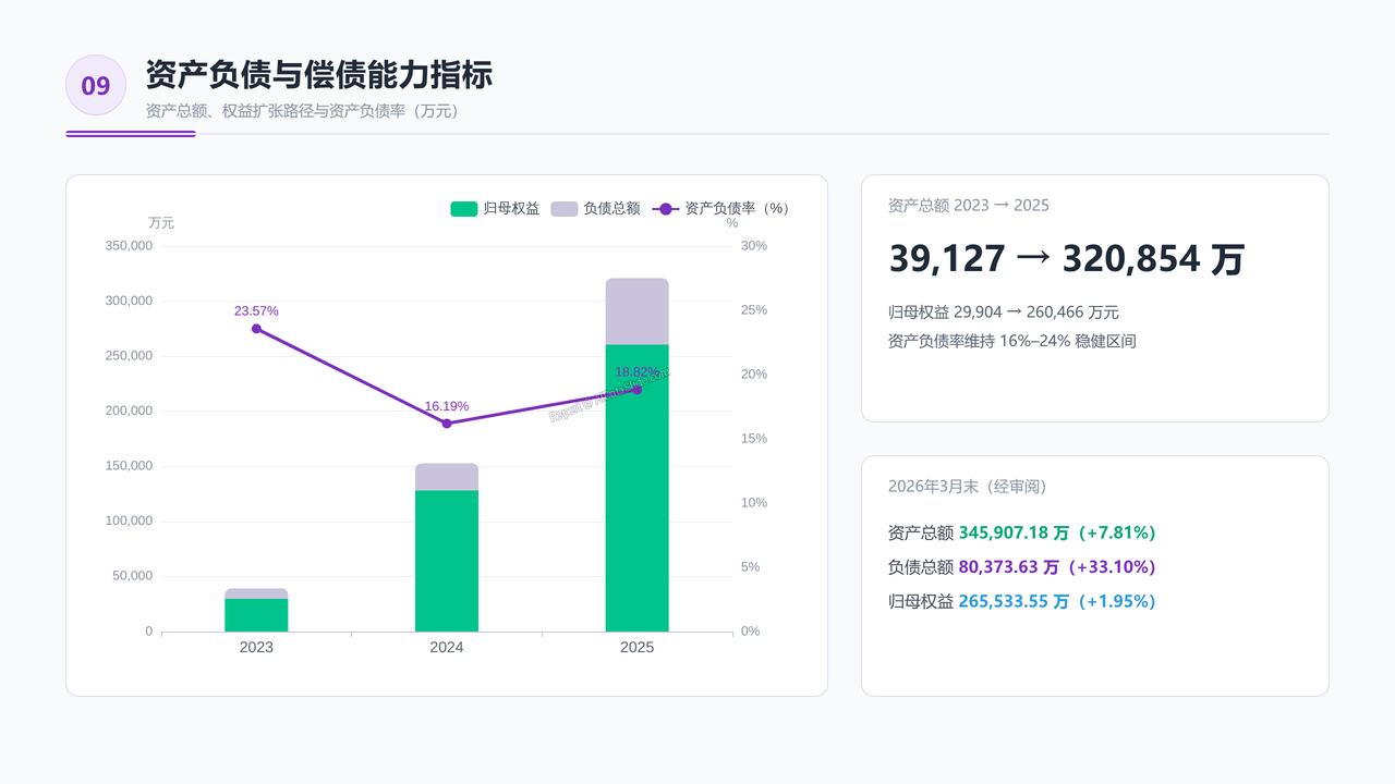 宇树科技公司2026招股书财务数据分析报告 - 资产负债与偿债能力指标