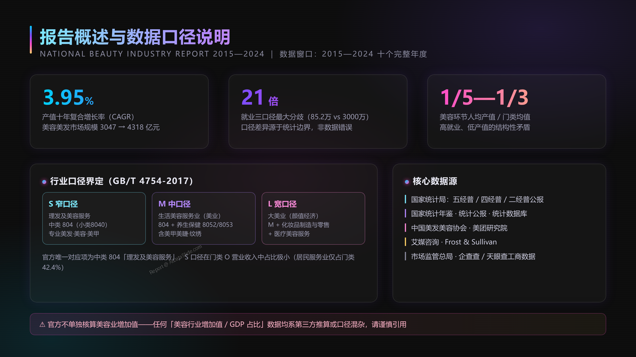 全国美容行业从业人员与产值十年（2015-2024）对比分析分析报告 - 报告概述与数据口径说明