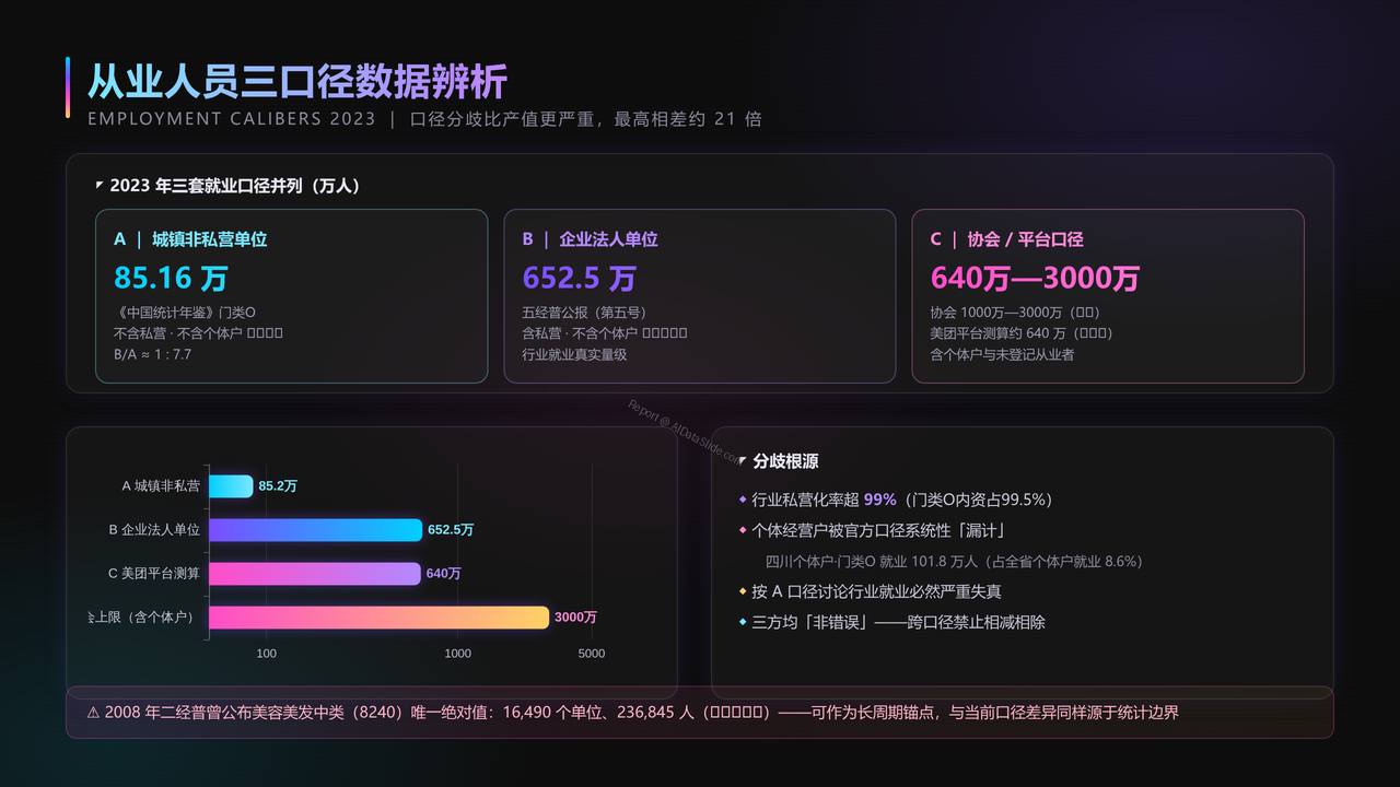 全国美容行业从业人员与产值十年（2015-2024）对比分析分析报告 - 从业人员三口径数据辨析
