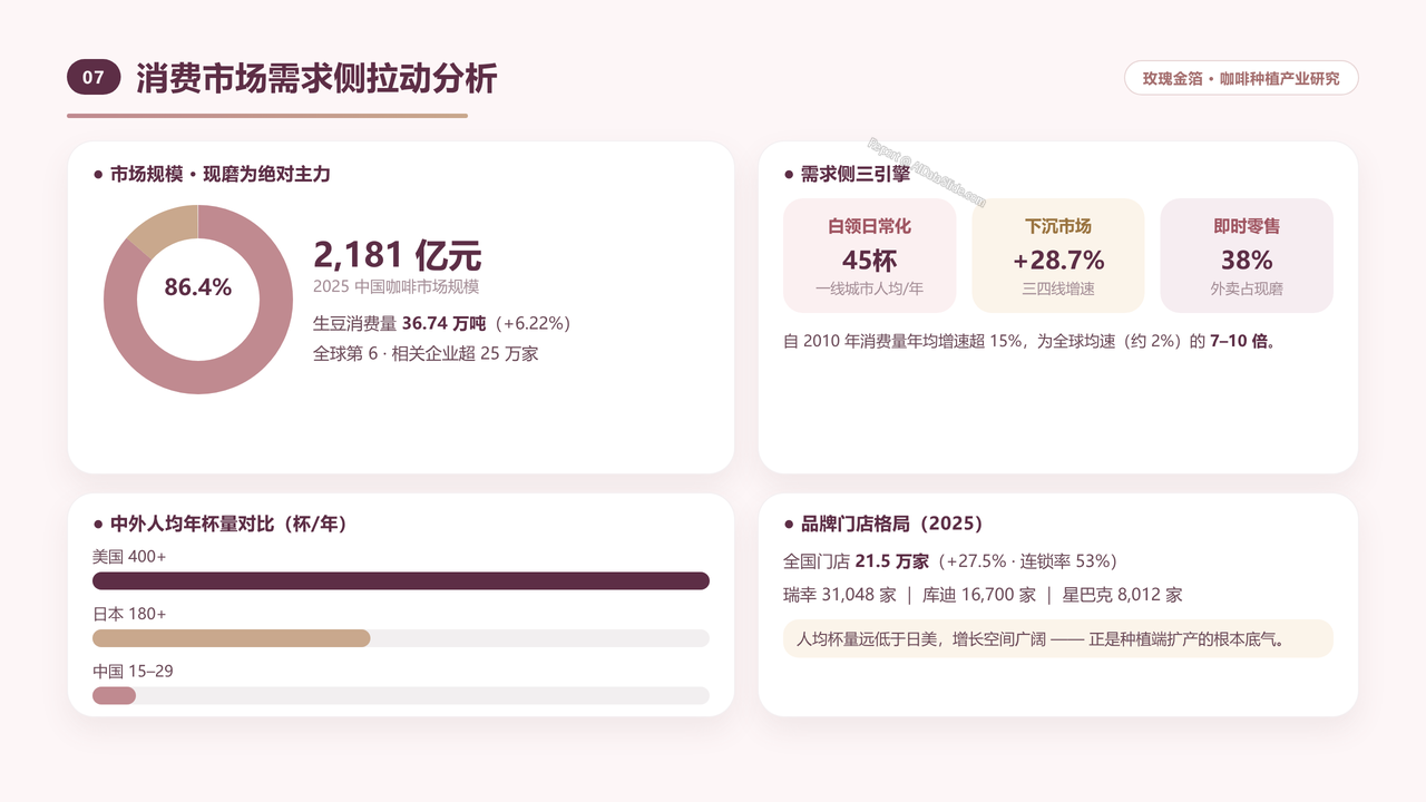中国咖啡种植产业发展研究分析报告-2026年9月 - 消费市场需求侧拉动分析