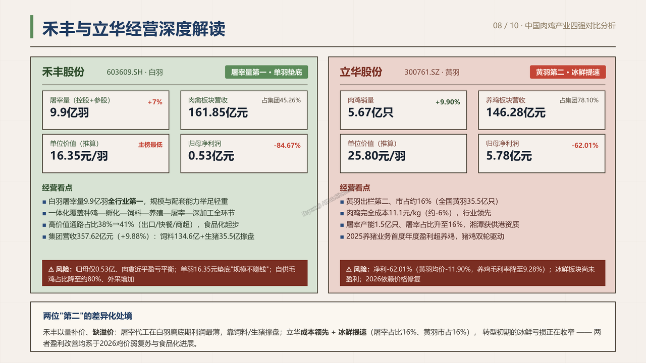 中国肉鸡产业重点企业2025财年出货量与出货价值对比分析报告 - 禾丰与立华经营深度解读